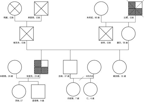 家庭關係圖畫法|附錄 9 製作家系圖(Genogram)